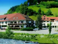 Hotel 3 Könige Hotels in Schenkenzell