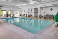 Holiday Inn & Suites SPRINGFIELD - I-44 by IHG - Pools