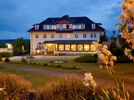 Parkhotel Forsthaus Отели в г. Вильсдруф