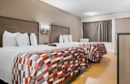 Red Roof Inn Tampa Fairgrounds - Casino