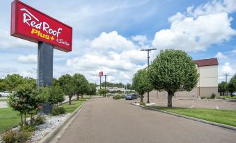Red Roof Inn & Suites Vicksburg