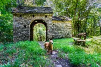Casa Del Borgo "earth & fire" Hotels near Chiesa S.Stefano