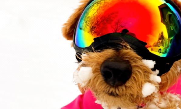 Hakuba Powder Mountain