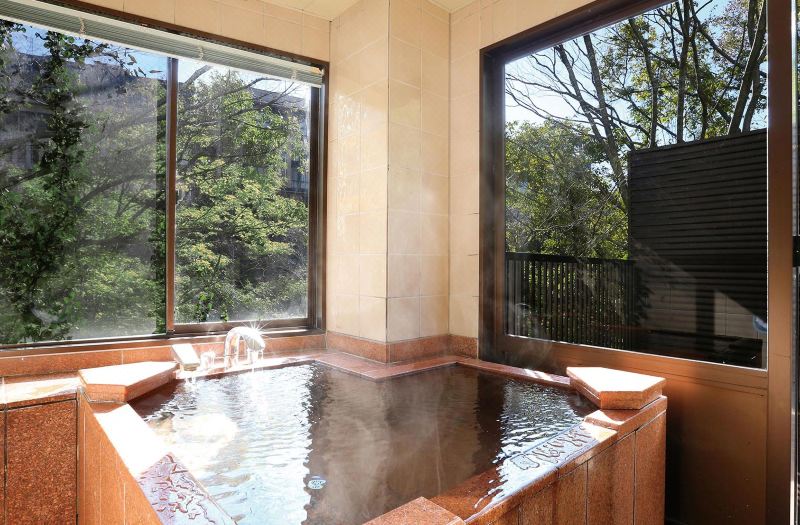 Ooedo Onsen Monogatari Premium Kinugawa Kanko Hotel photo 5