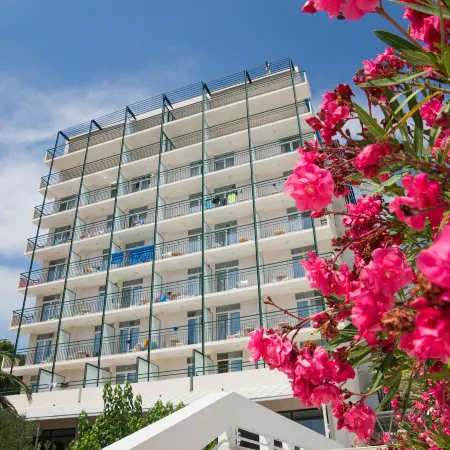 Neptun Depandans Maslinik - Tucepi Hotels in Tučepi