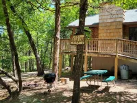 Cabin #10-Cozy log cabin nestled in the woods brief walk to Table Rock Lake Hotéis em Shell Knob