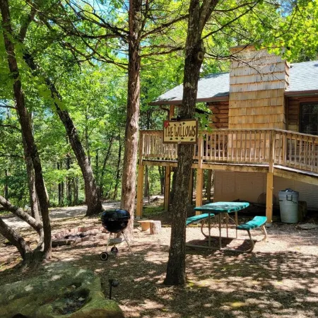 Cabin #10-Cozy log cabin nestled in the woods brief walk to Table Rock Lake