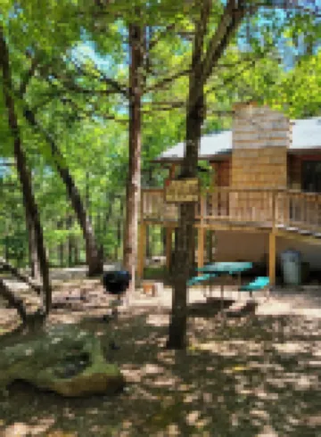 Cabin #10-Cozy log cabin nestled in the woods brief walk to Table Rock Lake Hotels in Shell Knob