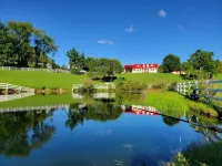 Minutes from New River Gorge!  Country setting - great for families and friends! - 4-Star