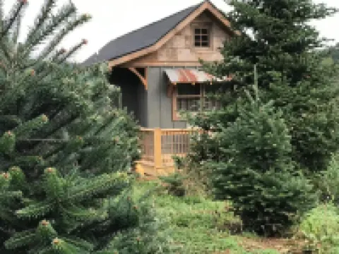 A hand-crafted cabin built in the middle of a Christmas Tree farm.