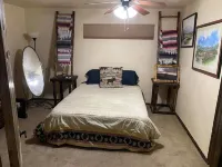 Patch of grass Ocotillo