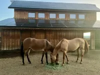 Lavender on the Farm ~ Cozy 2BR 1BA near Durango Hotel a La Plata County