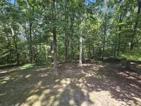 Nature Lovers Paradise- Rustic Cabin on 2 Acres with a Creek! Hotels in Cheatham County