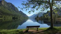 2 vacation apartments for up to 6 people, perfect for a vacation with family or friends - 3 stjerner