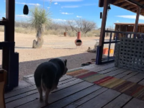 Ranchito Paraiso: Pet-friendly Rustic Elegance in the Desert Hotels in Benson