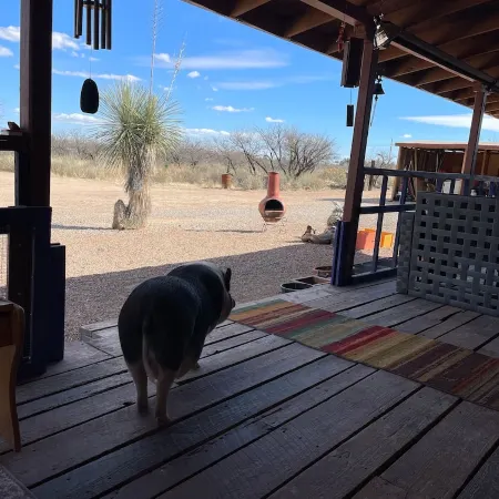 Ranchito Paraiso: Pet-friendly Rustic Elegance in the Desert