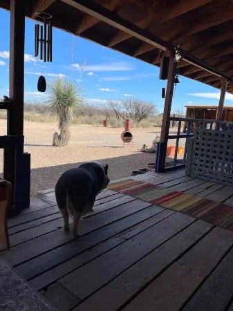 Ranchito Paraiso: Pet-friendly Rustic Elegance in the Desert