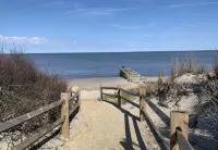 Pool Swim Spa-Hot Tub!  300 Feet to Secluded Beach!  Kayaks!! Bayshore Getaway! - Beach