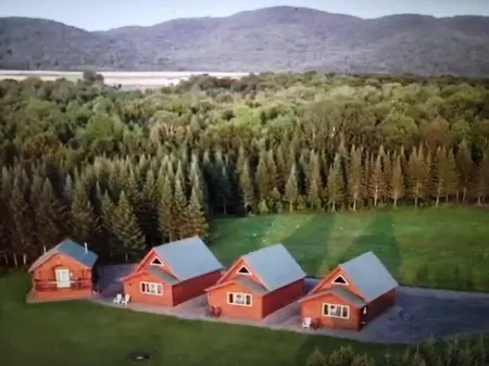 Luxury Cabin #3 Отели в г. Марс Хилл