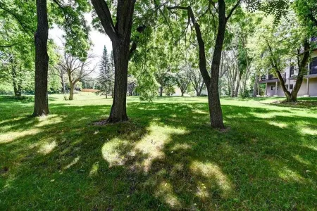 Look out at the treetops at the cozy Paoli Nest. Near Epic Systems and Madison. Отели в г. Верона