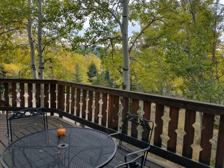 Mountain Chalet Tucked in Aspen Grove with Mountain Views