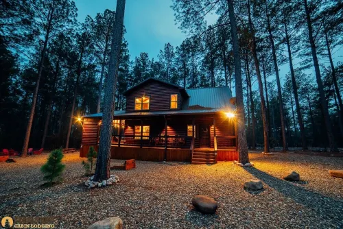 🏡 Whisky Hollow: Pets 🐾, Private Heated Pool 🏊‍♂️, Arcade 🕹️, Playground 🎠