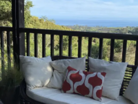 Classic California Central Coast Cabin overlooking the ocean on 20 wooded acres