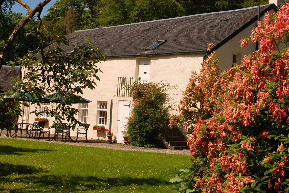 Honeysuckle Cottage, perfect rural retreat, lots of activities from house Hotels in Taynuilt