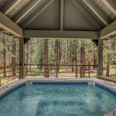 Ponderosa Pine Escape