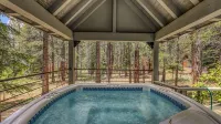 Ponderosa Pine Escape