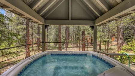 Ponderosa Pine Escape