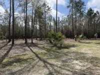 Peace on the river. Wakulla springs nearby. Wakulla River adjoins property