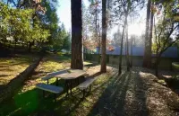 Yosemite Forks/Bass Lake - Sugar Pine Retreat
