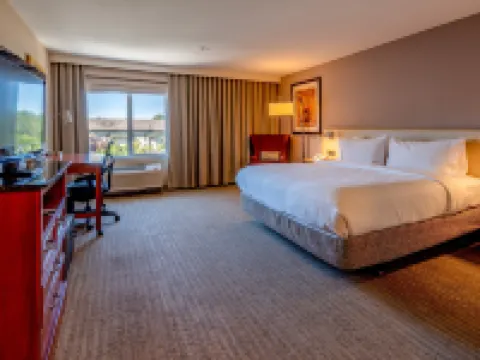 Hilton Garden Inn Seattle/Renton Hotel di King County