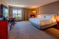Hilton Garden Inn Seattle/Renton Hôtels à : Renton