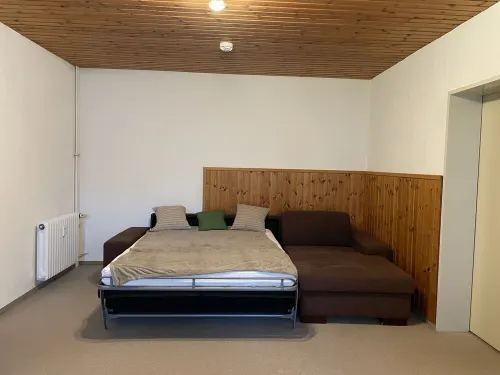 Fewo Berg-domizil Bad Harzburg mt Eigenem Kellerraum für Fahrräder Oder Skier