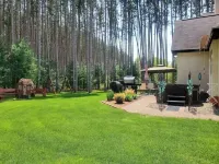 Private Pine Forest  Villa with hot tub 5 min from Castle Rock