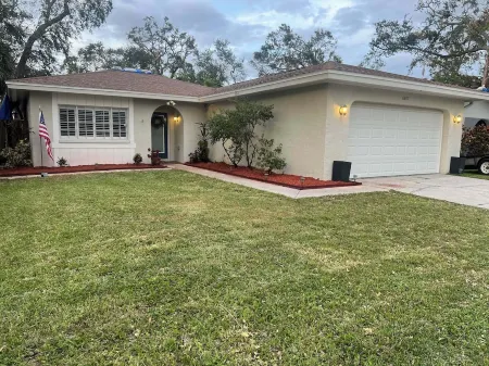 Your pet friendly Tampa pool home, right between the beaches and Tampa proper! Отели рядом с достопримечательностью «Island Bamboo»