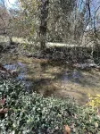 Full, private, artsy, cozy, creek-side home!