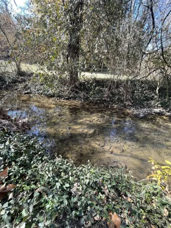 Full, private, artsy, cozy, creek-side home!