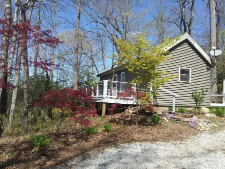 Cabin with two trout rivers onsite. Brevard and Pisgah National Forest close by.