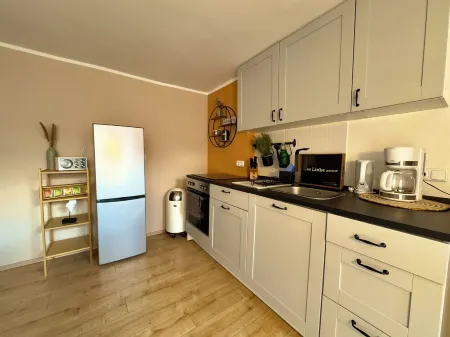 Apartment in the Beachhouse on Lake Goitzsche/2 min. to the beach, barbecue area in the garden Отели в г. Биттерфельд-Вольфен