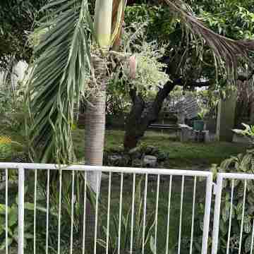 Charming Kingston Room to Rent with Shared Facilities Hotel Exterior