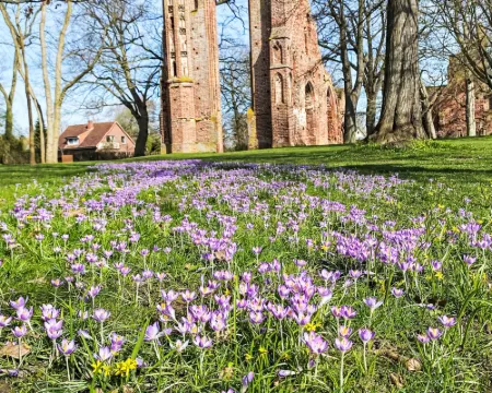 Boddenidyll Hotels in Greifswald