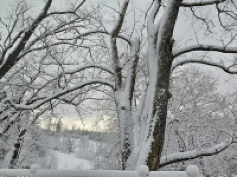 Charming Historic Loft Apartment in Waldoboro. Once an Army Post & Dance Hall.