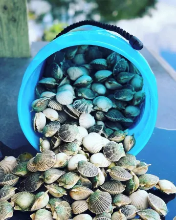 Charming Waterfront Home - Dock Access - Fishing Retreat - Pool - AC - King Bed! Отели рядом с достопримечательностью «Парк штата 7 Майл Луп Трейлхед Кристал Ривер Презерв»