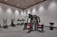 The Fern Heaven on the Hills Hatgad-Saputara, Series by Marriott - Gym