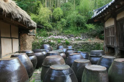 Yi Jin-Rae's Historic House