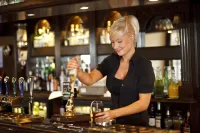 The Horseshoe Country Inn - bar
