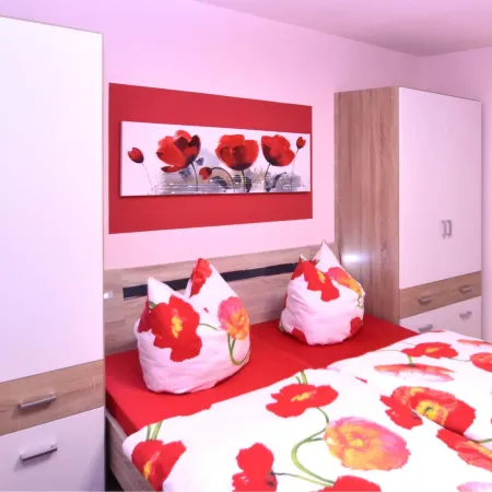Roomy Apartment in Lichtenhain with Pond